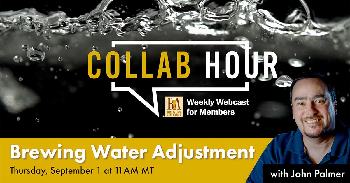 Brewing Water Adjustment BA collab 1200x630