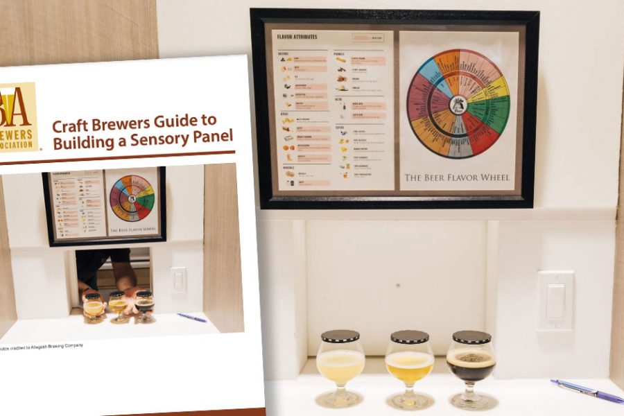 building a sensory program