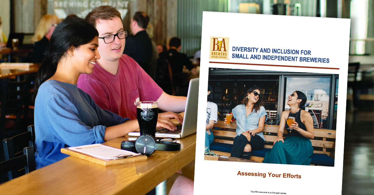 diversity assessing your efforts educational publication