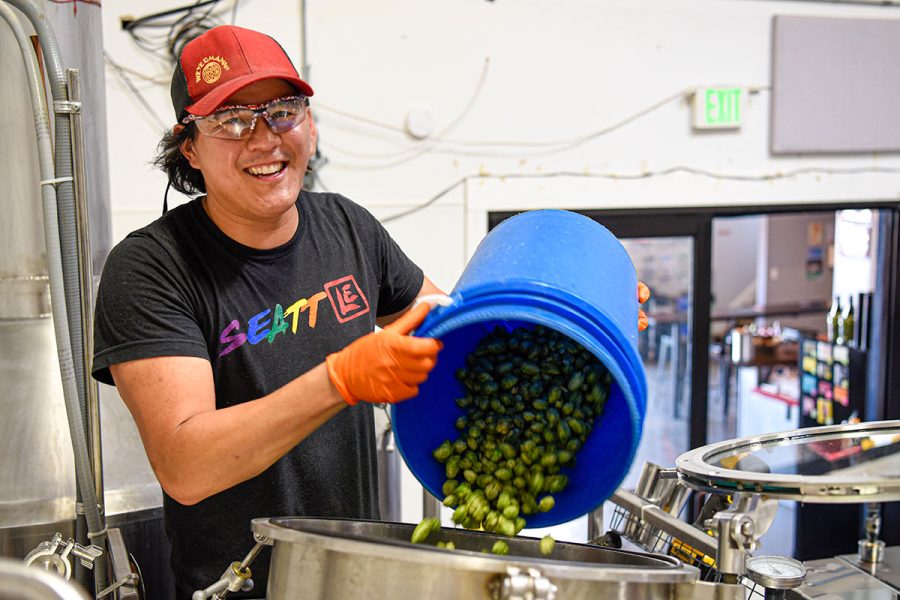 man pouring hops