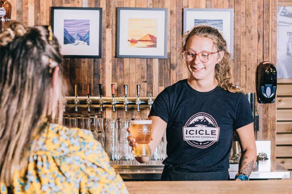 The New Brewer Server Training