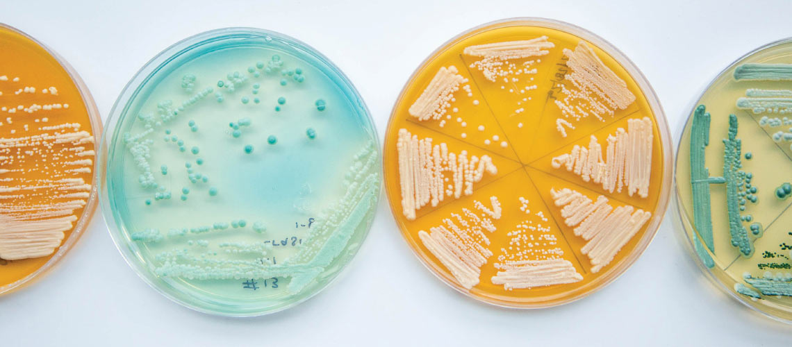 Thiolized Yeast 101