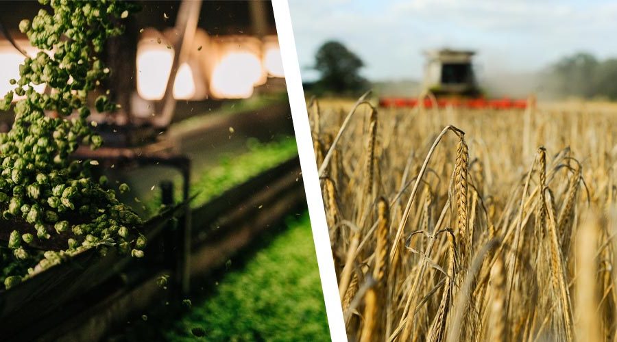 World Harvest Reports 2023