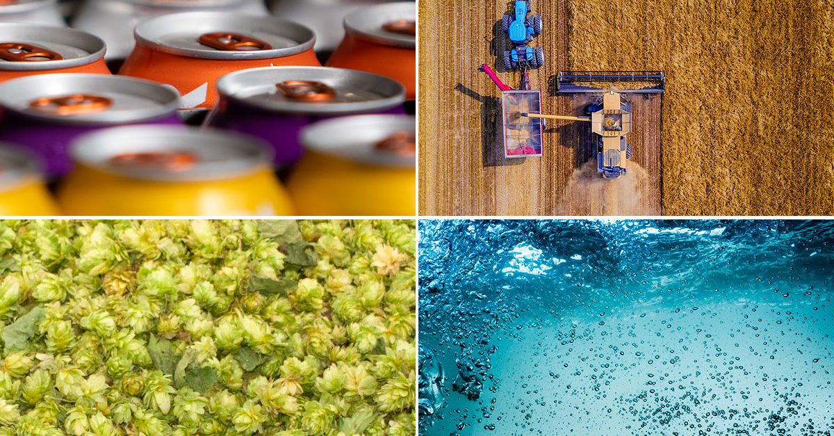 Four quadrants showing cans, hops, barley, and water.