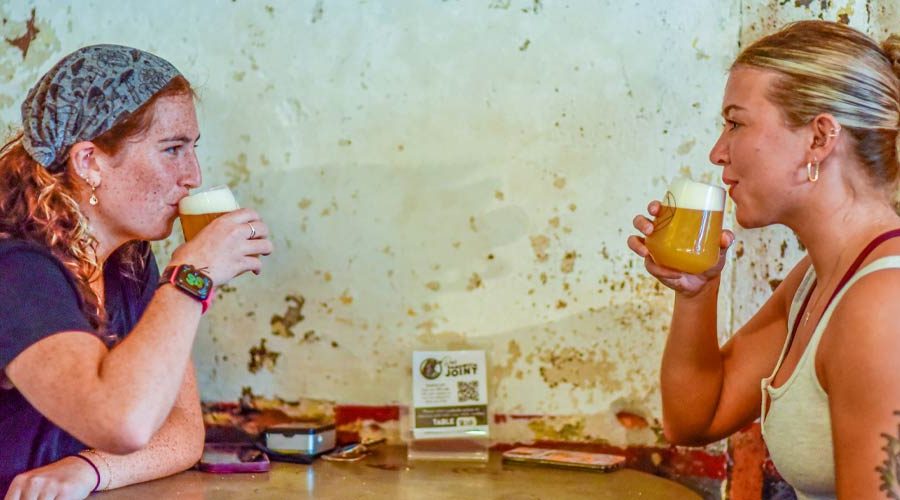 The New Brewer Sept Oct 2023 Marketing